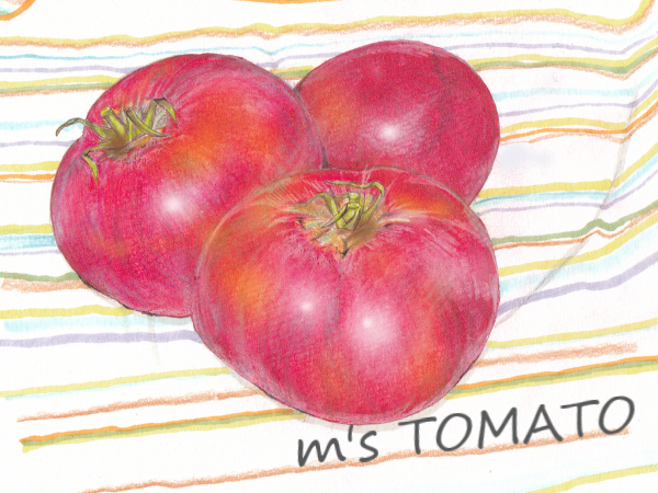 おっちゃんの完熟トマト